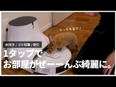 【超時短】毎日のお掃除を、ロボット掃除機に任せることにしました。【Neabot NoMo Q11】2022-08-10 20:27:03