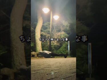 人生を100倍楽しくしたいだろ #ジョージ #モチベーション #メンズコーチ #切り抜き2023-08-18 21:46:21