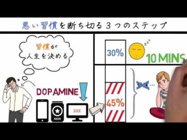 【8分解説】悪い習慣を治す　モチベーション紳士より2025-01-01 00:40:32