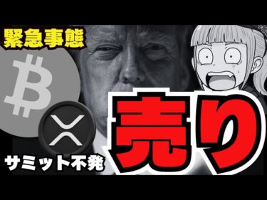 【💀下落】仮想通貨サミット不発で下落。ビットコインの運命は？／XRPが今後期待される理由！2025-03-08 11:05:55