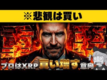 【※マジかよ。プロ投資家43%がXRPを狙う】仮想通貨ニュース2026-03-28 10:24:27
