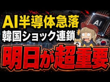 AI株急落、でも本当の勝負は明日です【日経平均急落・韓国ショック・マイクロン決算を解説】2026-06-24 10:41:51